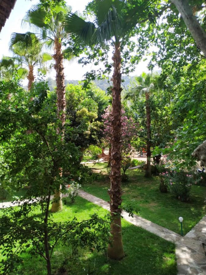 Olympos Yavuz * Cirali