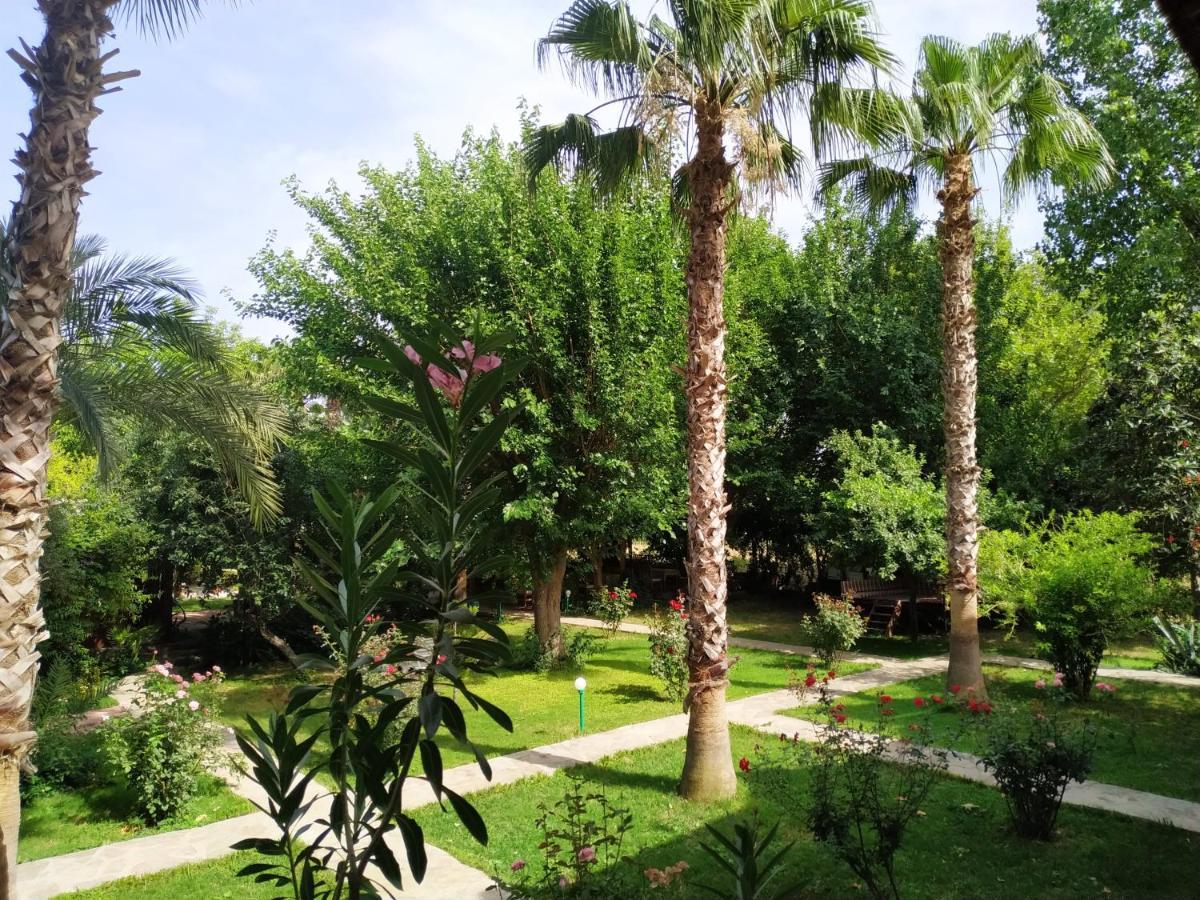Olympos Yavuz Hotel *