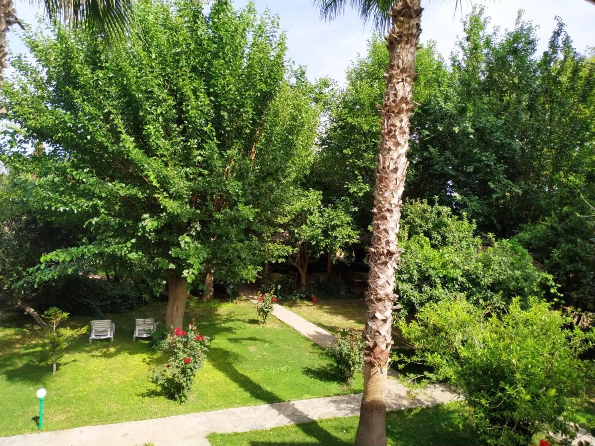 Olympos Yavuz * Cirali