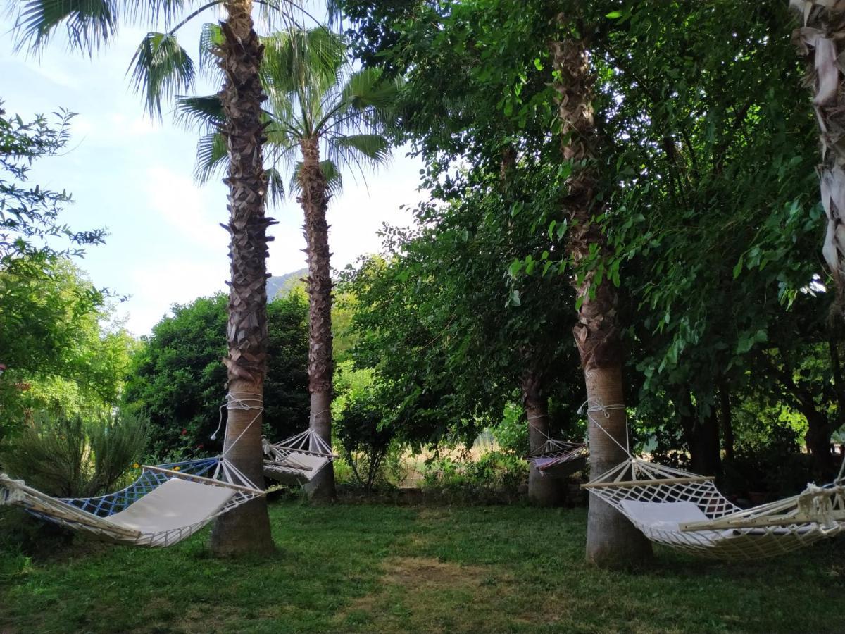 Olympos Yavuz Hotel *