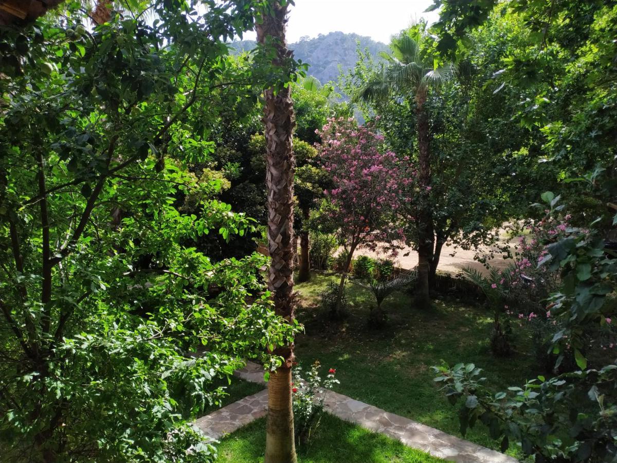Olympos Yavuz * Cirali