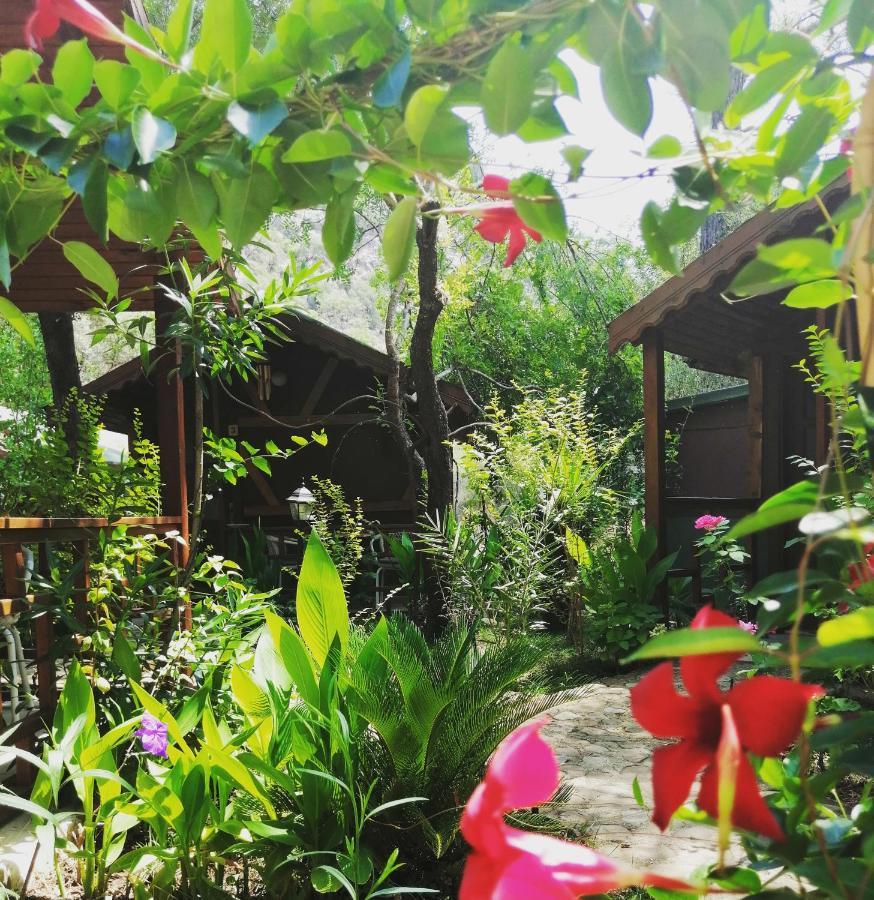 Canario Lodge