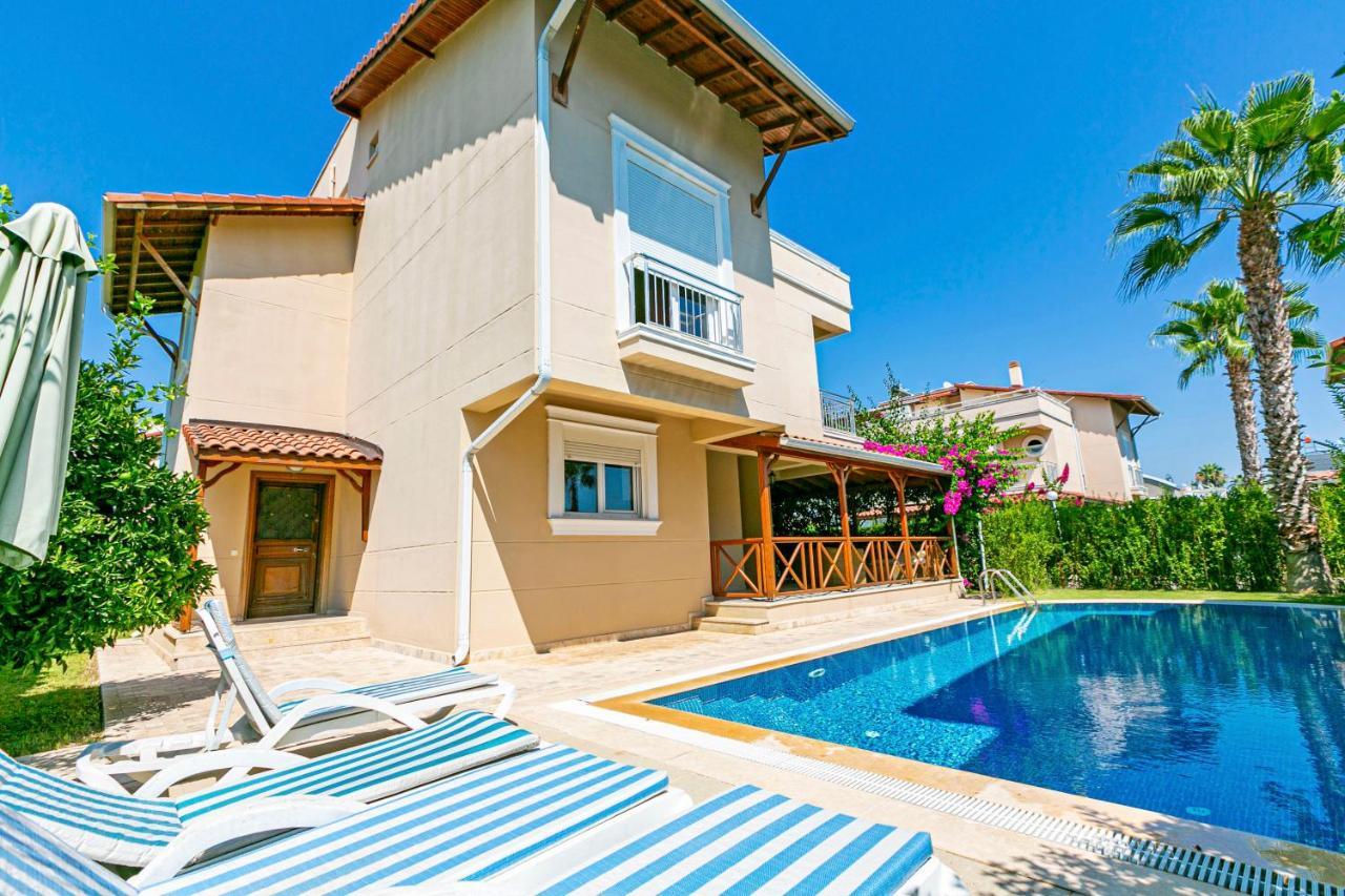 Paradise Town Hadrian 100 Mbps Free Wifi