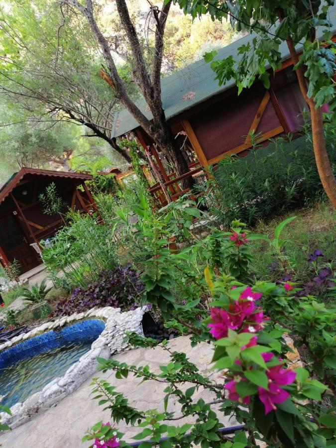 Canario Lodge Cirali