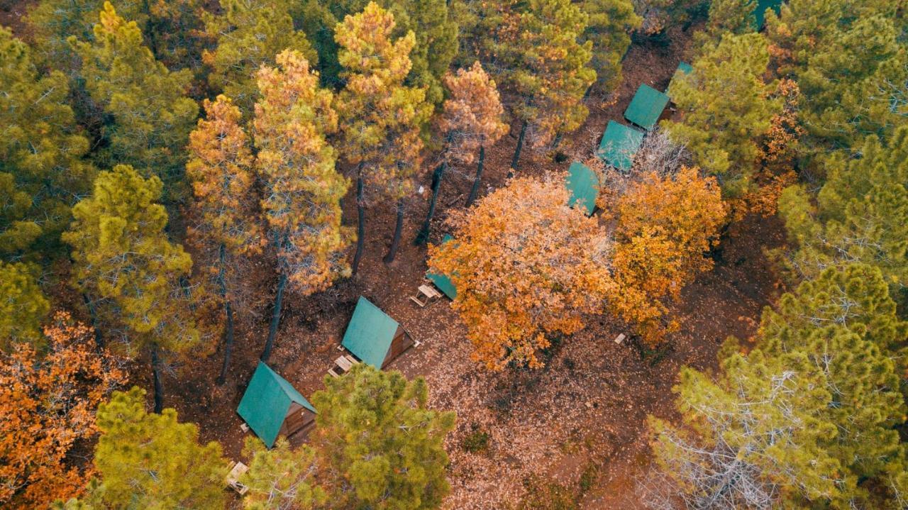 Sahil Kamp Istanbul