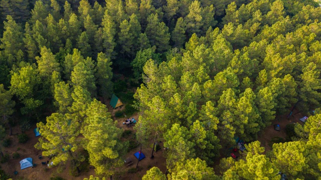 Sahil Kamp Istanbul Campsite *
