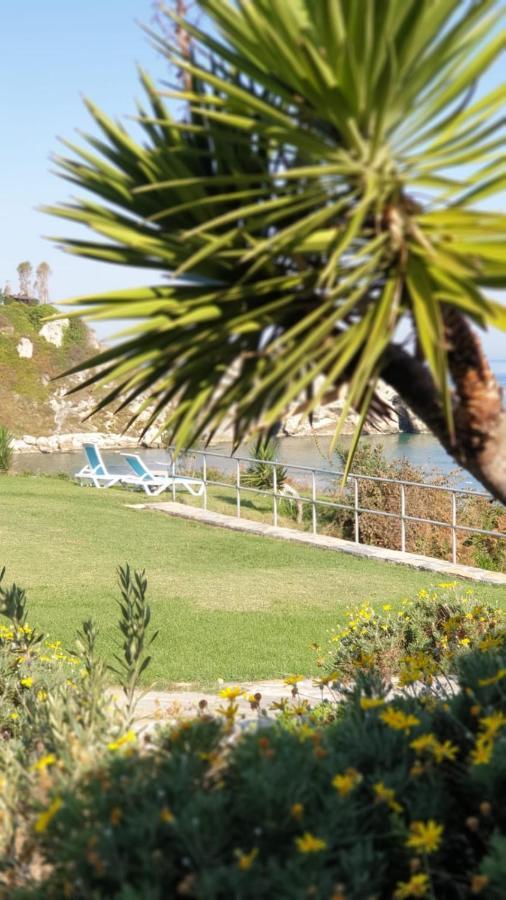 Palm Love hotel *