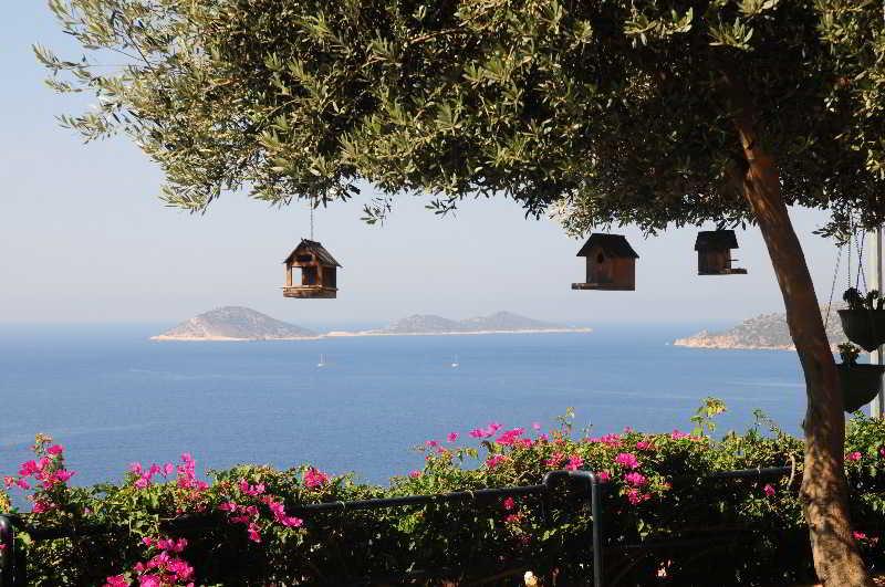 Hotel Merlot Kalkan Kas