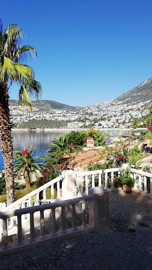 Sea View Bougainvillea 52 Holiday home *