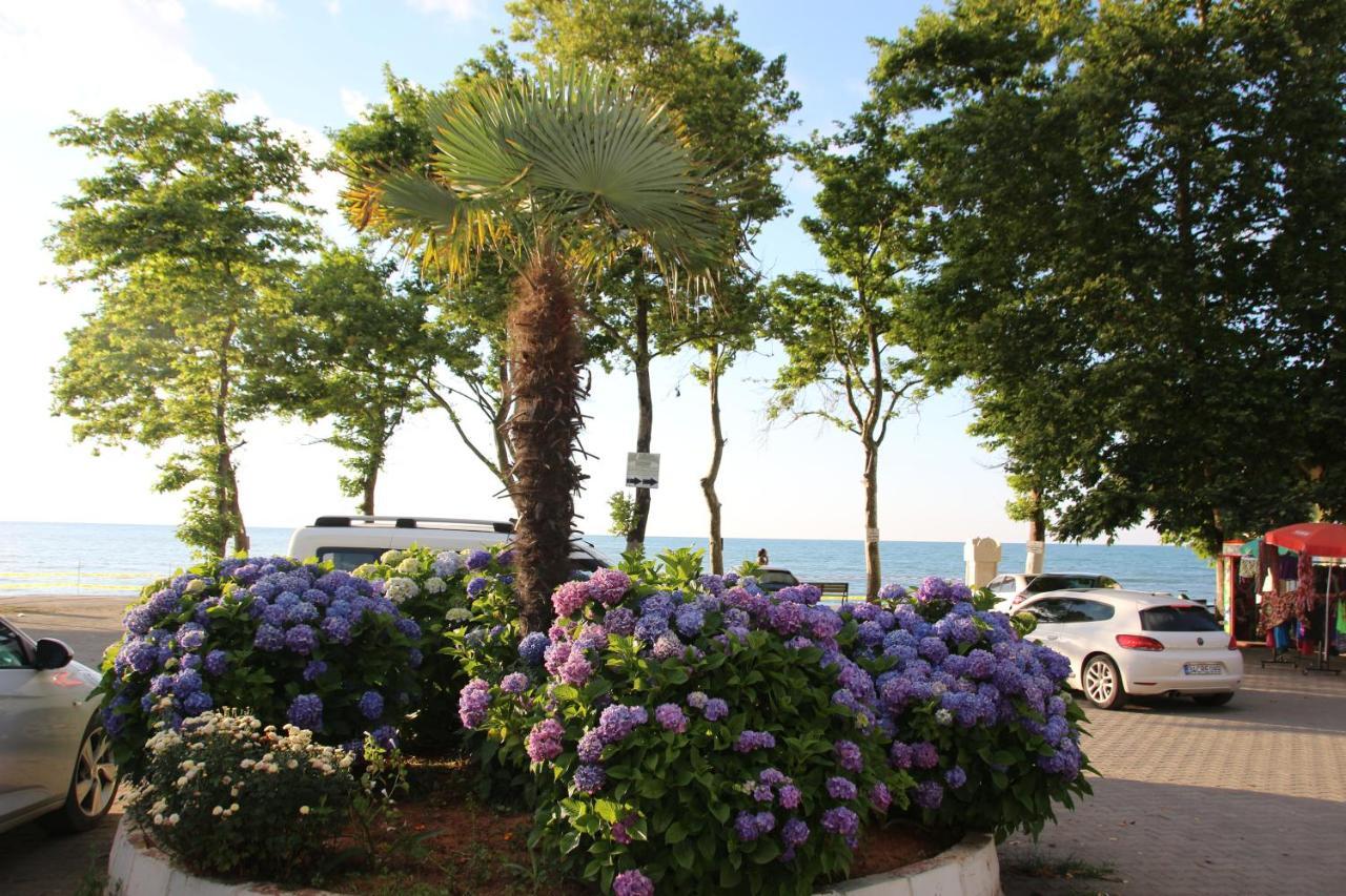 Homestay Deniz Yildizi