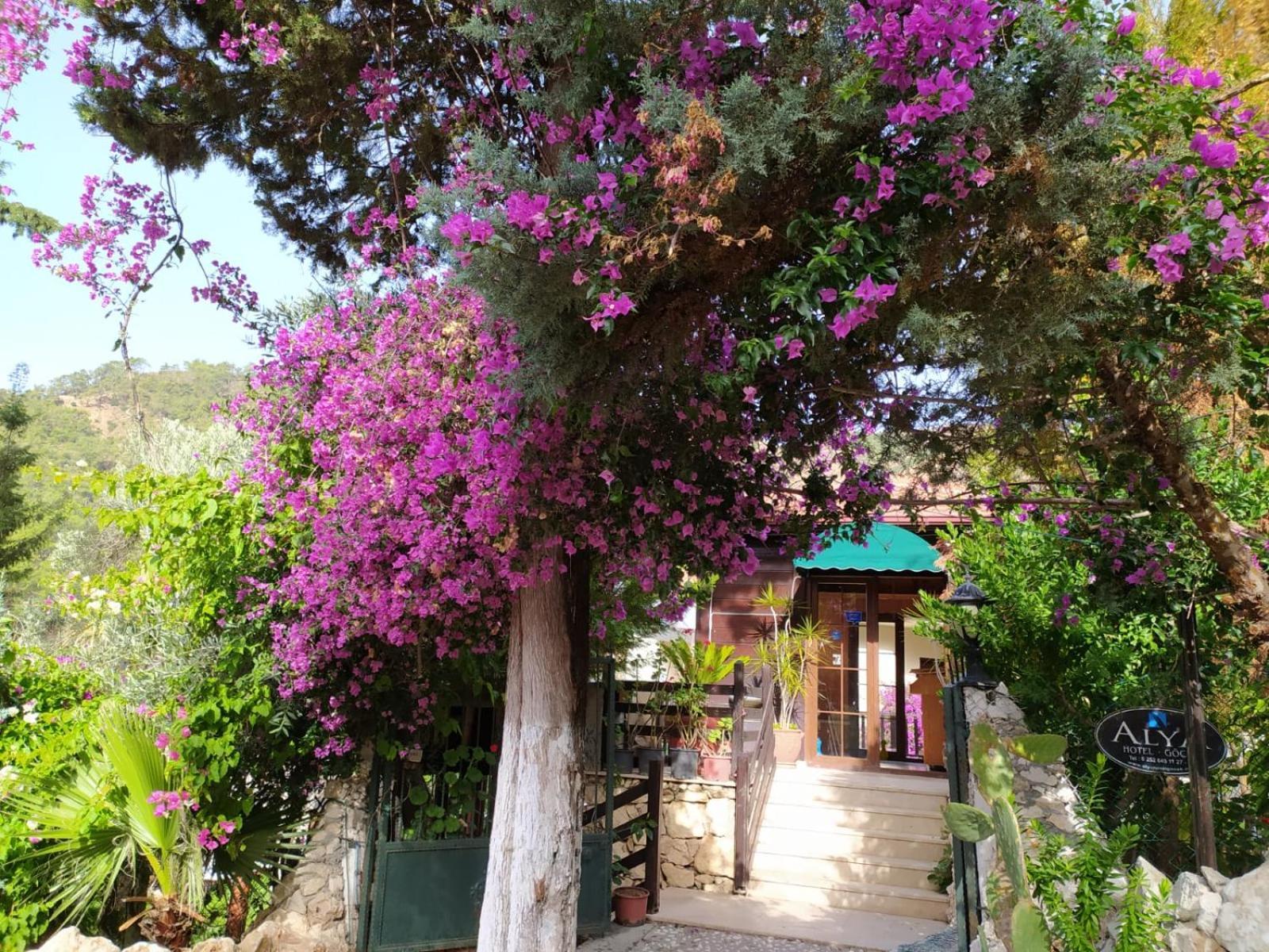 Hotel Alya Gocek (Fethiye)