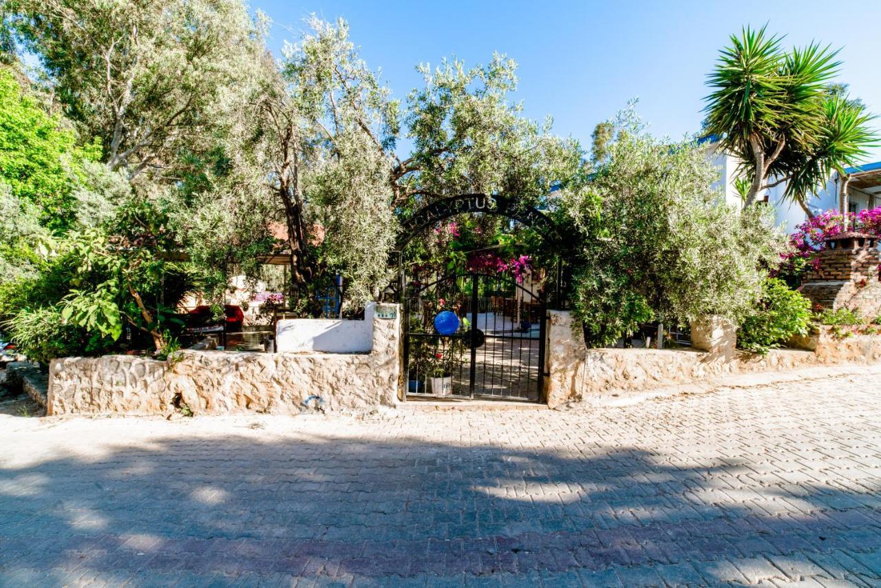 Bed & Breakfast Eucalyptus 2*
