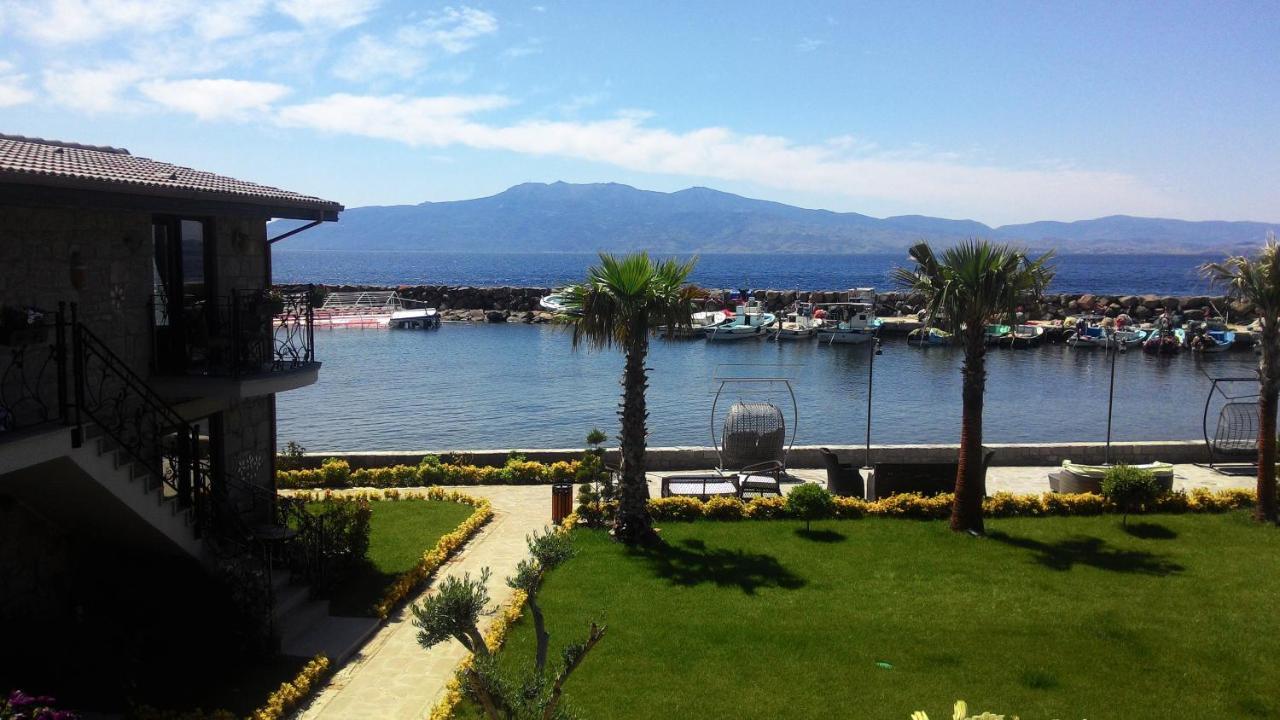 Assos Zeyti̇n Special Class Adults Only 12