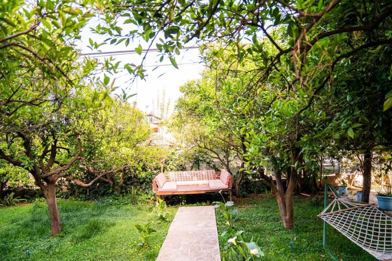 Homestay Ikiz