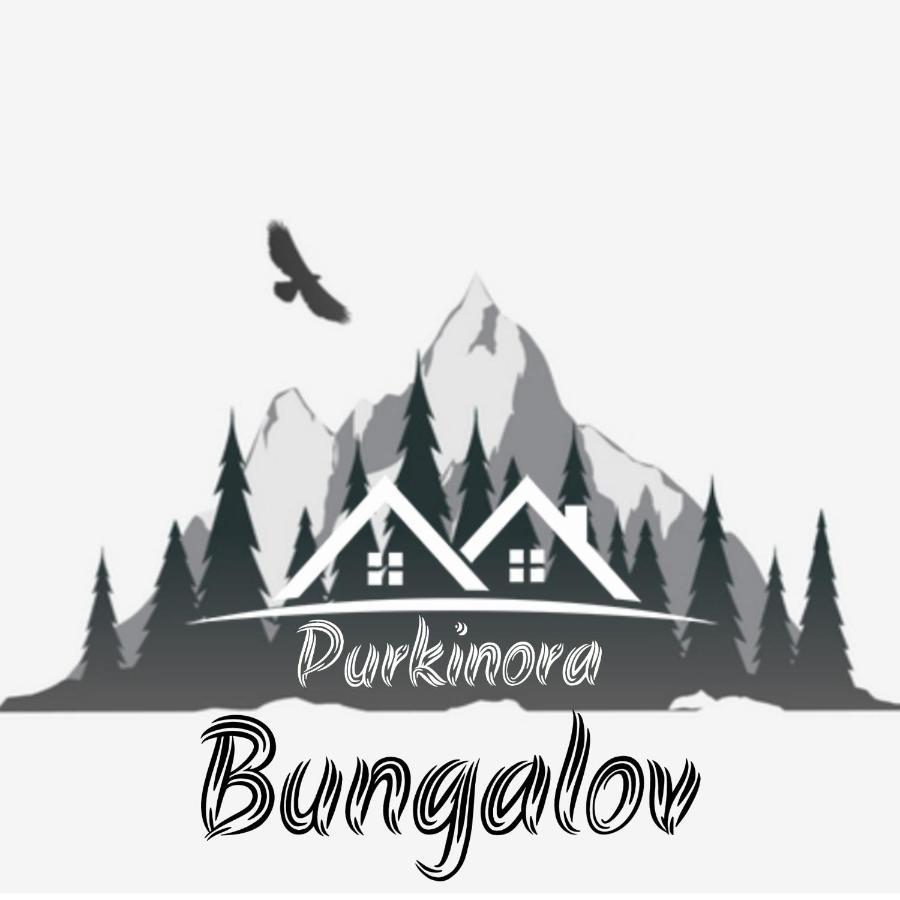 Purkinora Bungalov * Camlihemsin