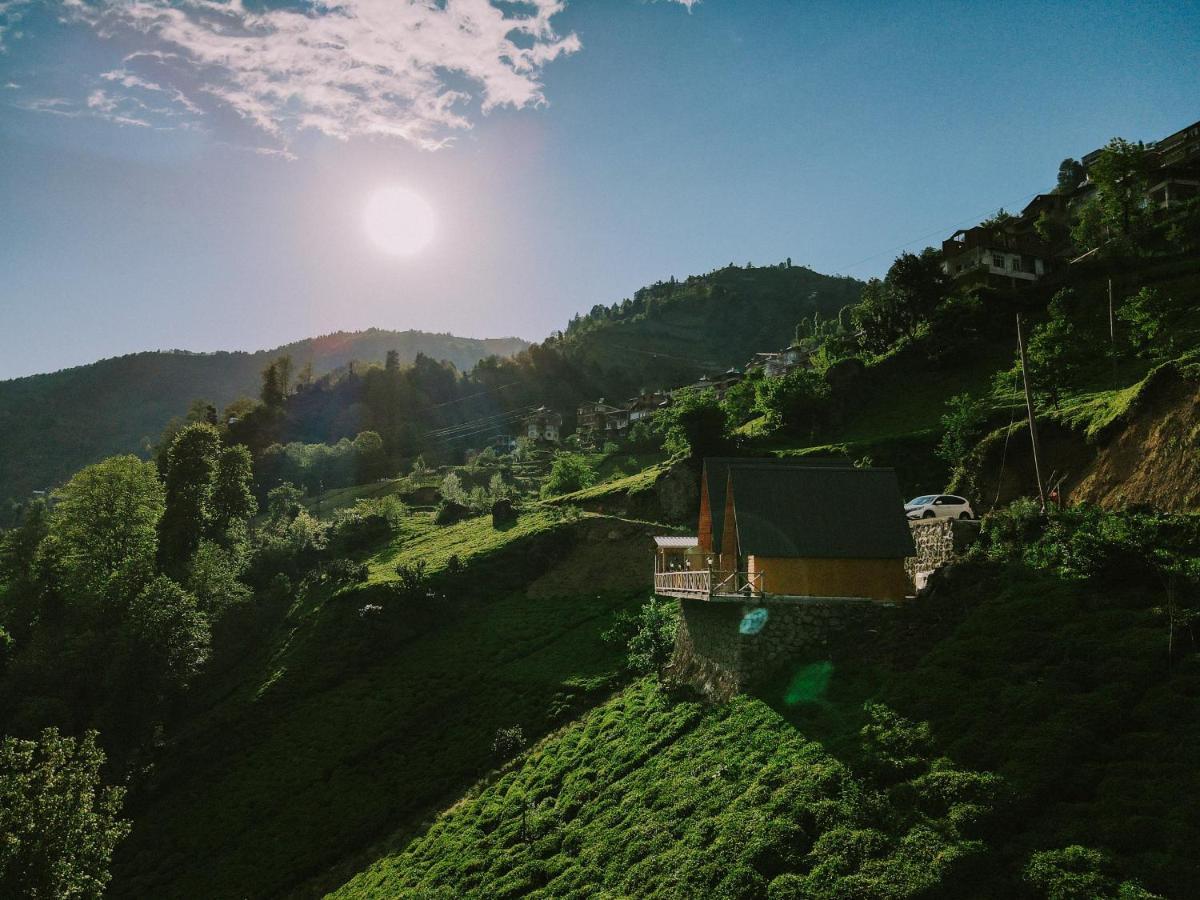 Purkinora Bungalov Chalet Camlihemsin