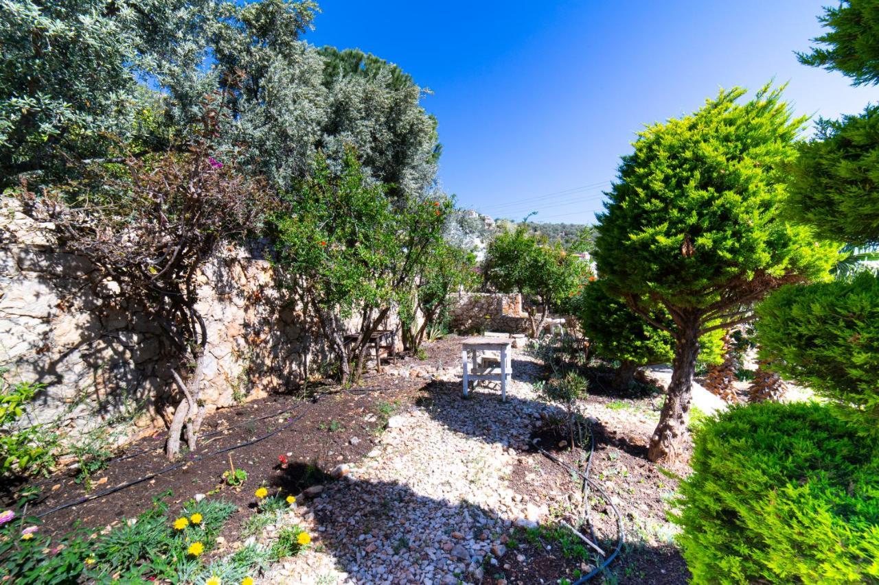 Mira Kalkan -close To Center- Villa Kas