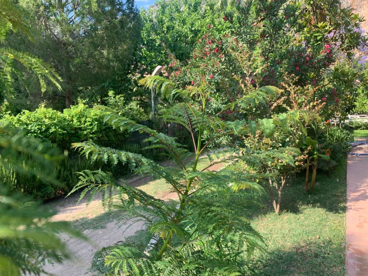 Adabella Guest house Cirali