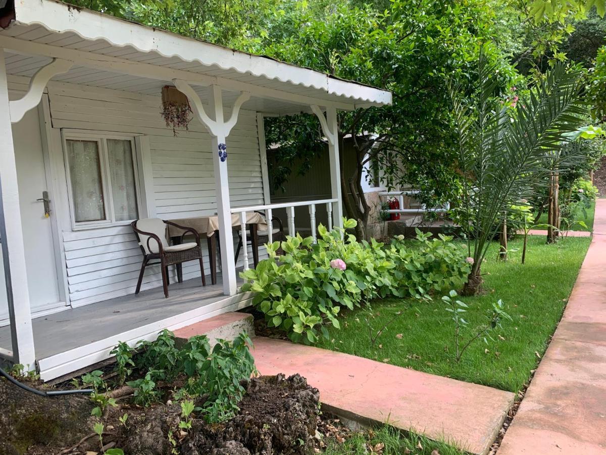 Guest house Adabella