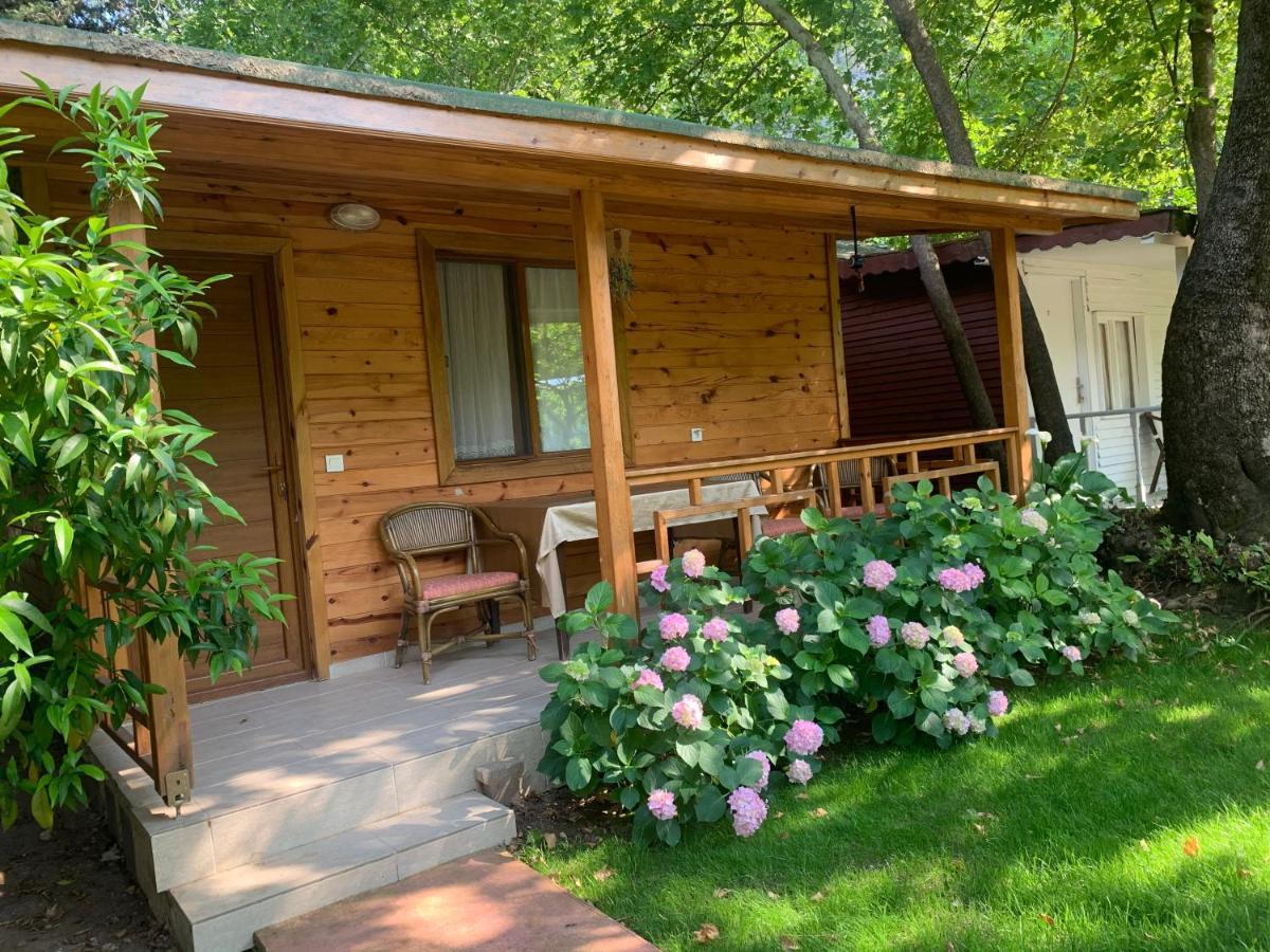 Adabella Guest house Cirali
