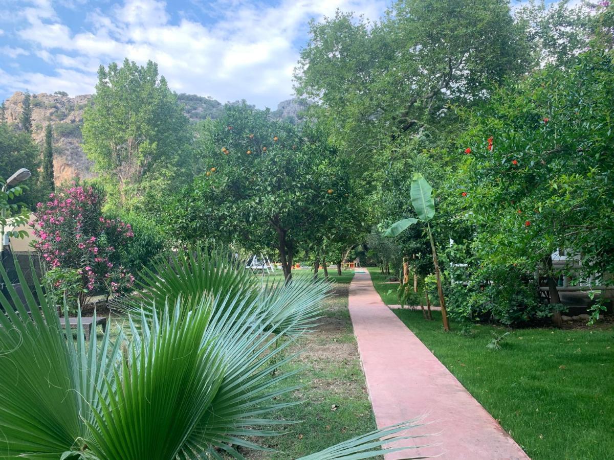 Adabella Guest house *