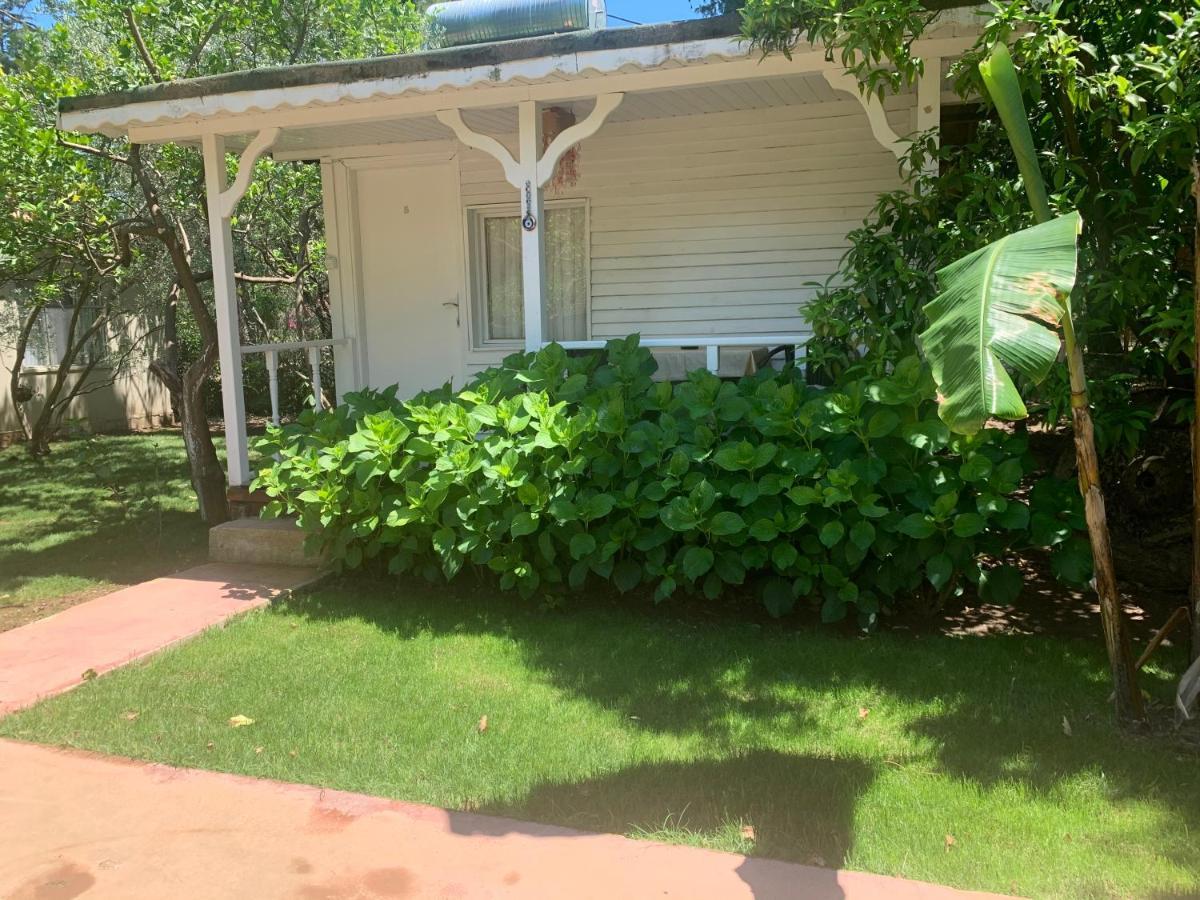 Adabella Guest house