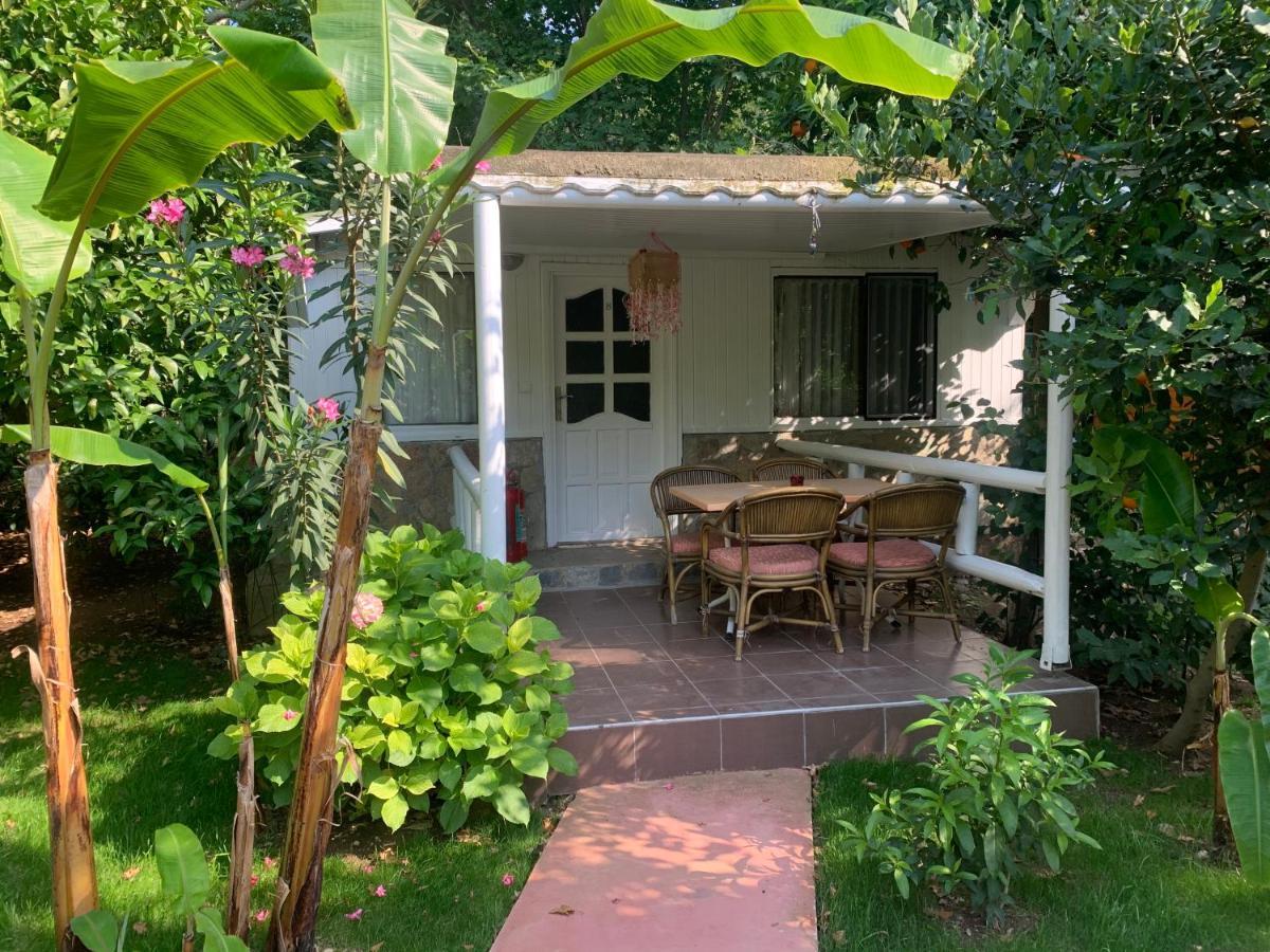Adabella Guest house Cirali