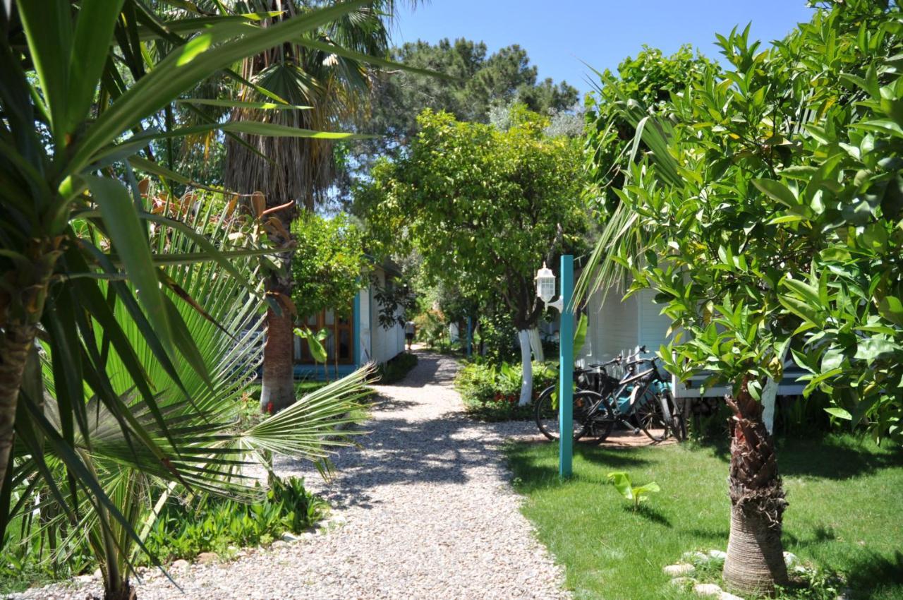 Bellerofon Guest house