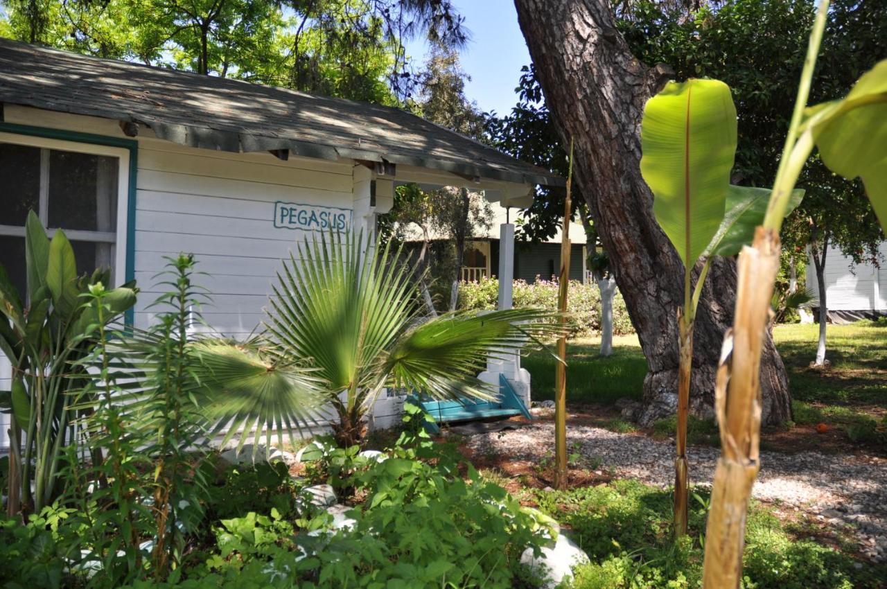 Guest house Bellerofon Cirali