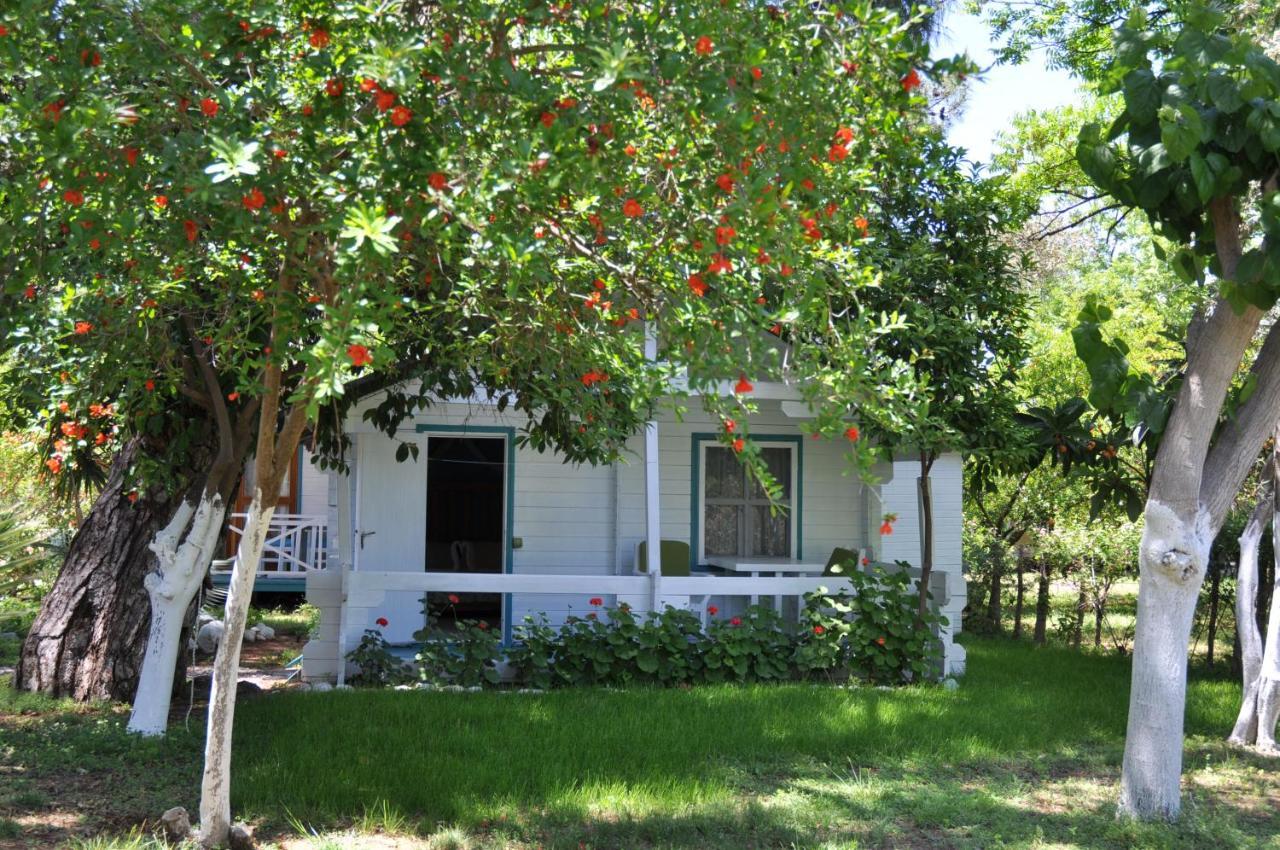 Guest house Bellerofon Cirali