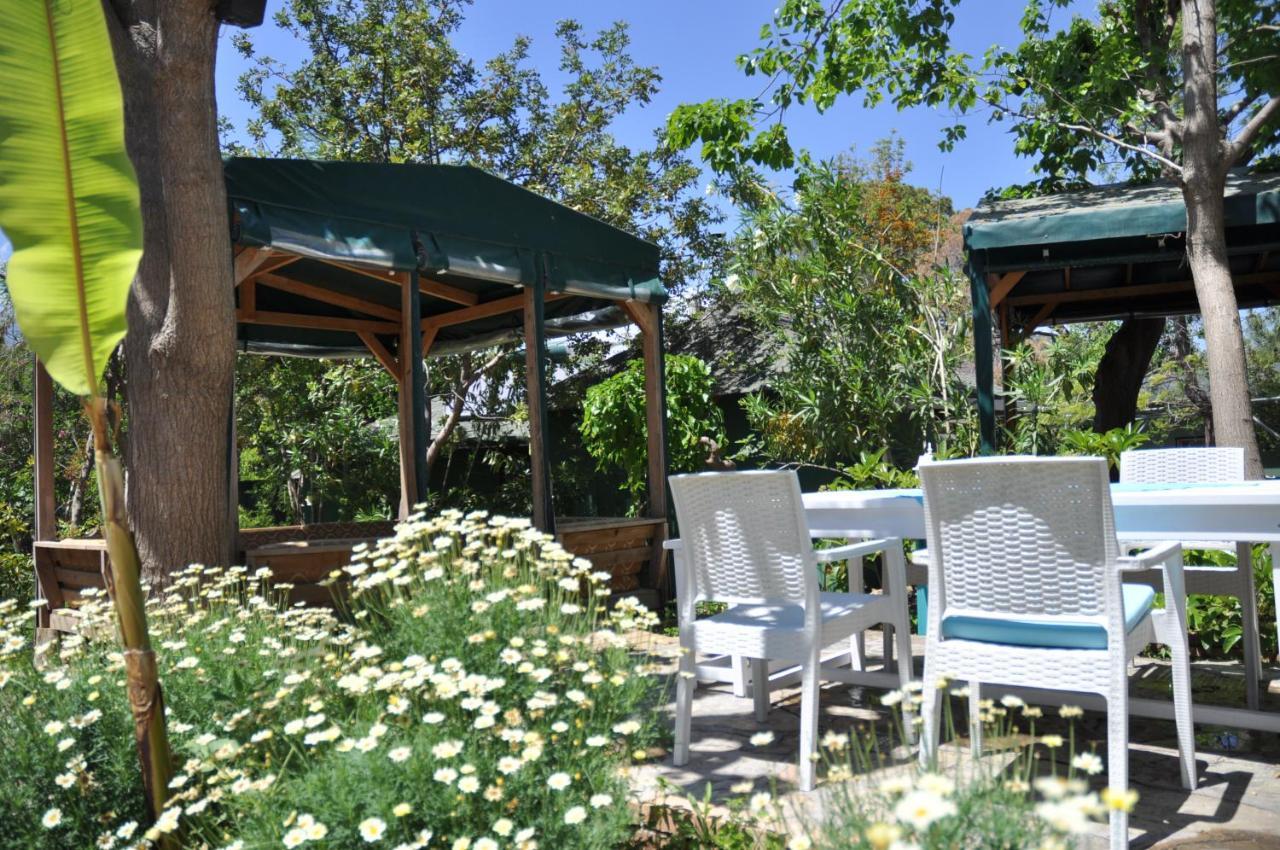 Guest house Bellerofon Cirali