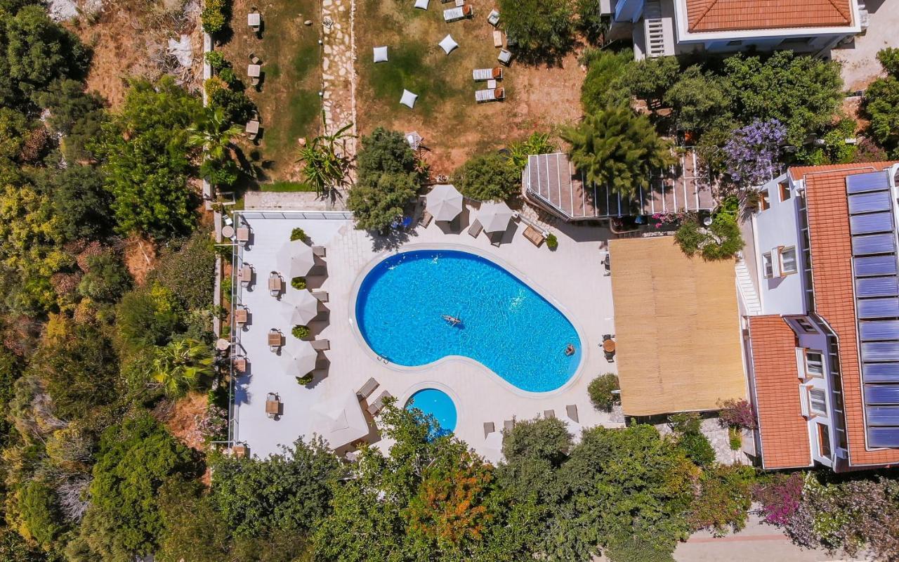 Hotel Olea Nova 3*