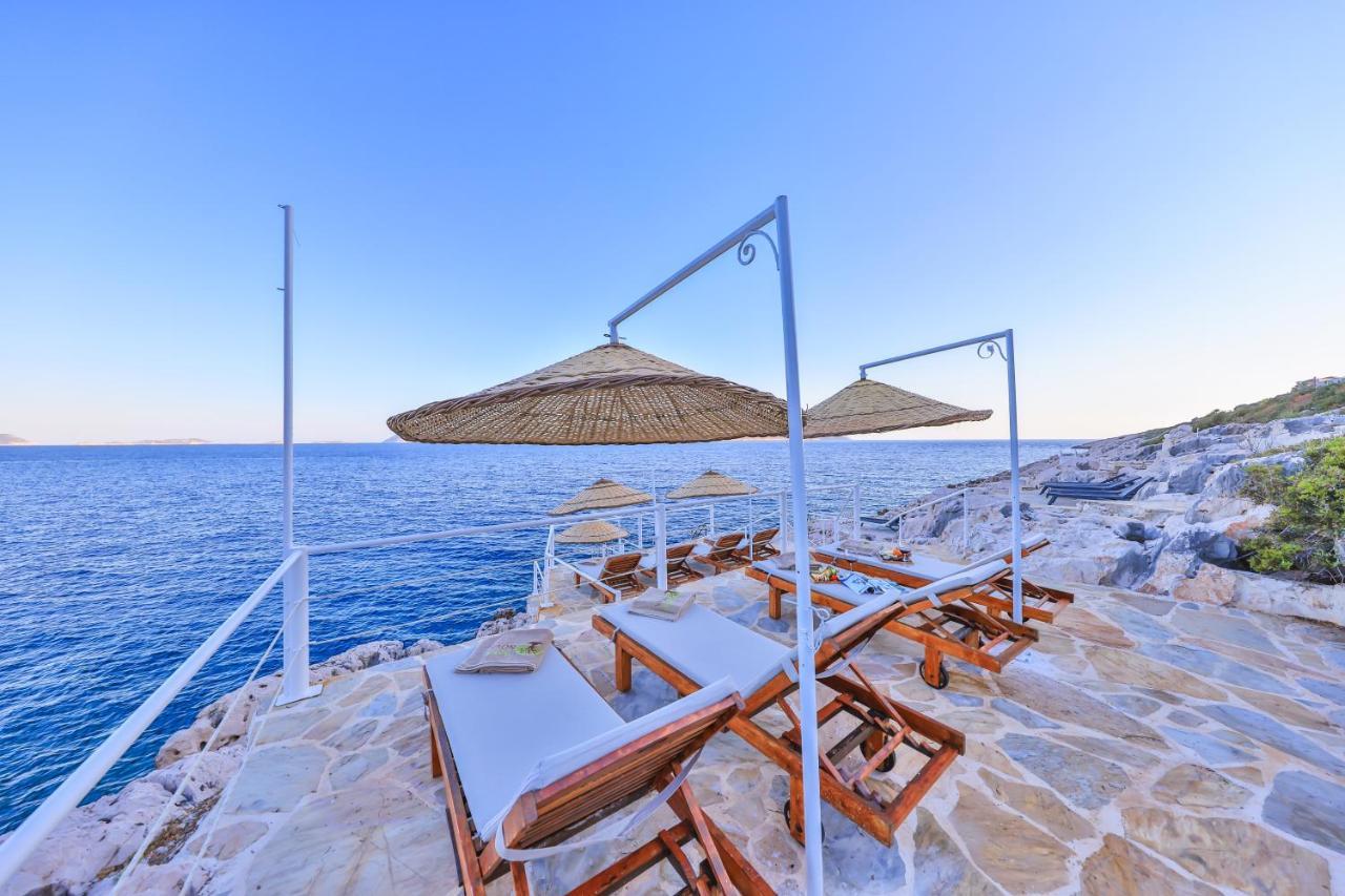 Hotel Olea Nova 3*