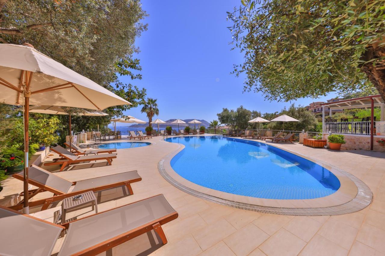 Hotel Olea Nova 3*