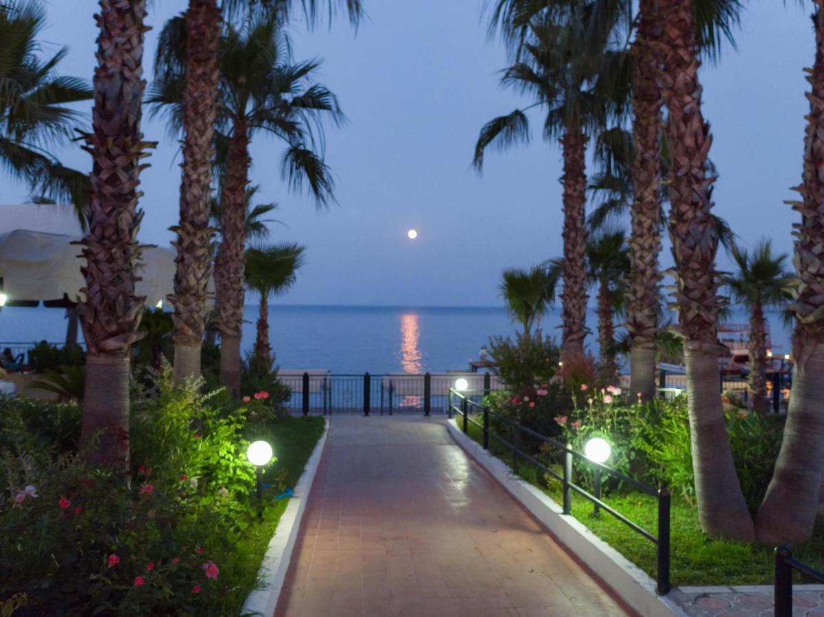 Club Akman Camyuva