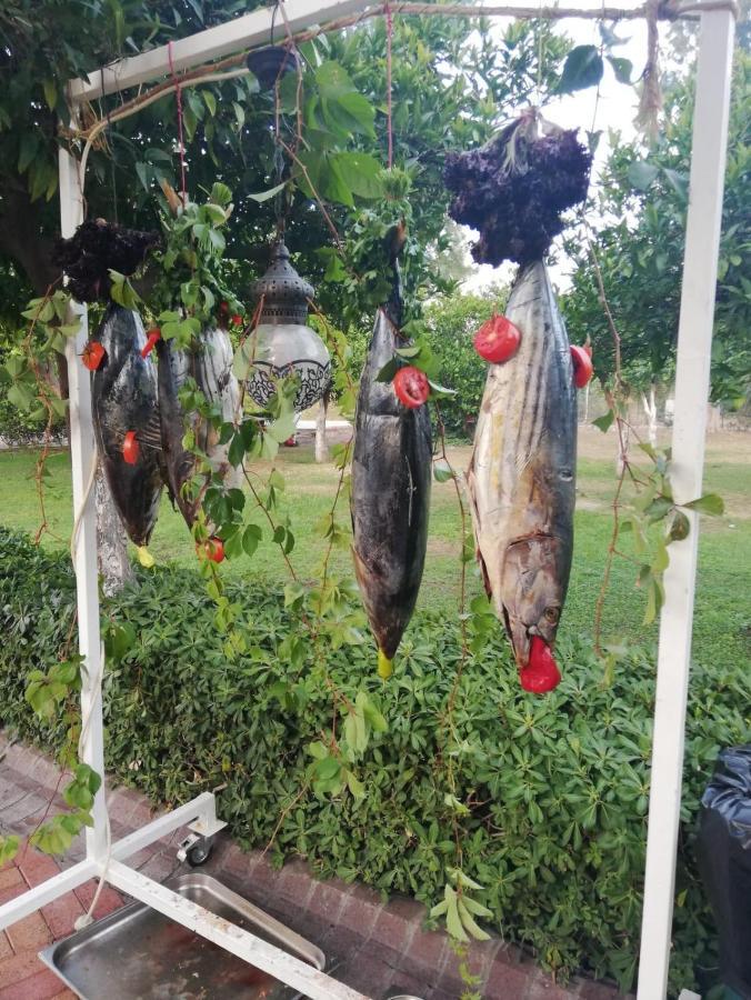 Monna Roza Garden 4* Kemer