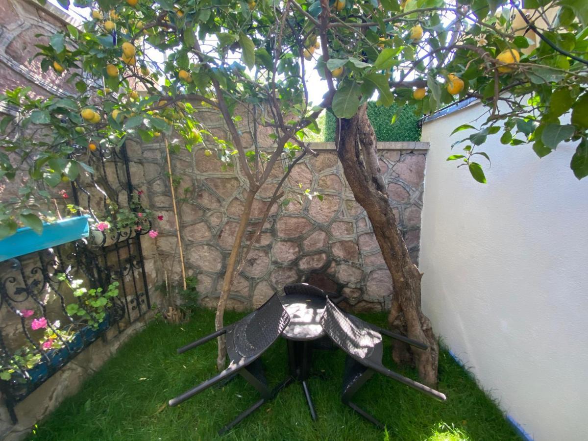 Anka 3* Cunda
