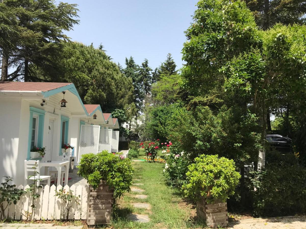 Poyraz Aparthotel Uzungol