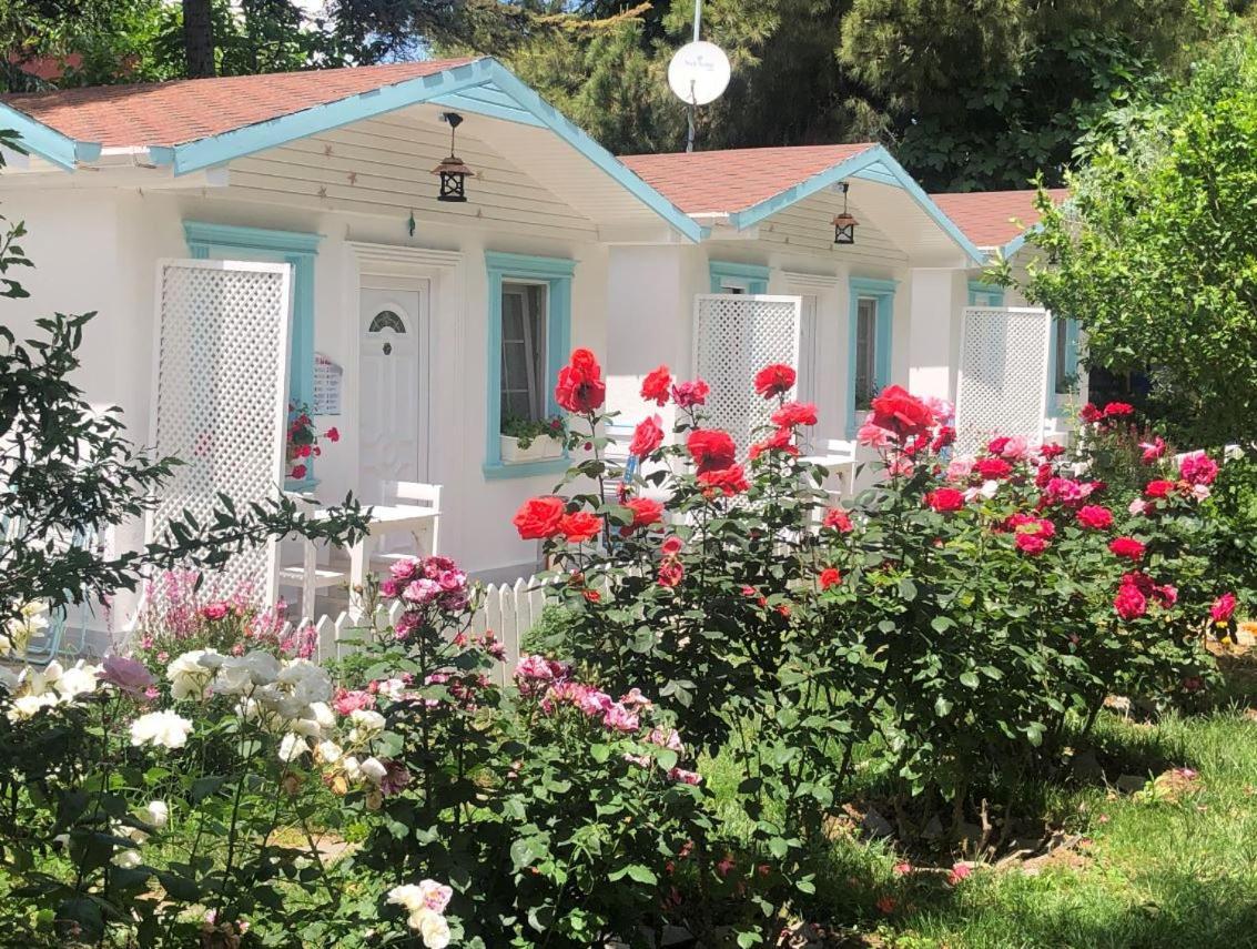 Aparthotel Poyraz Uzungol