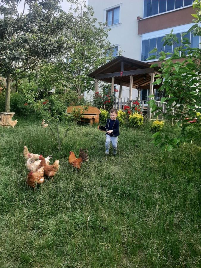 Menekse 2 Trabzon