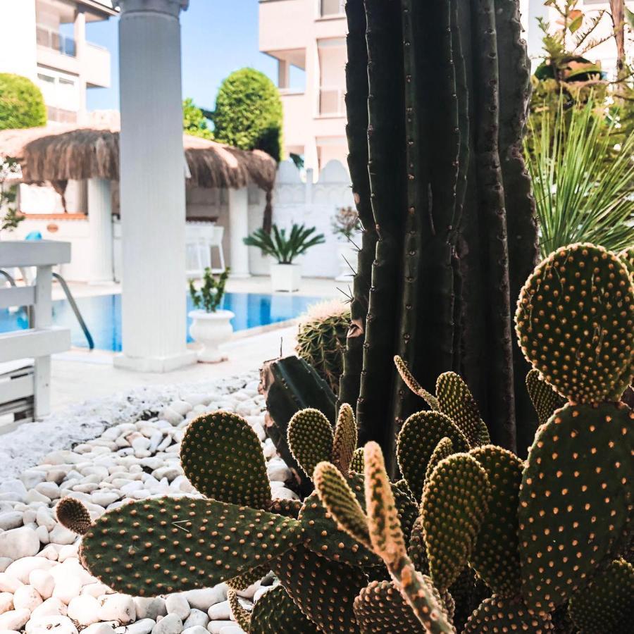 Conny's (adults Only) Hotel