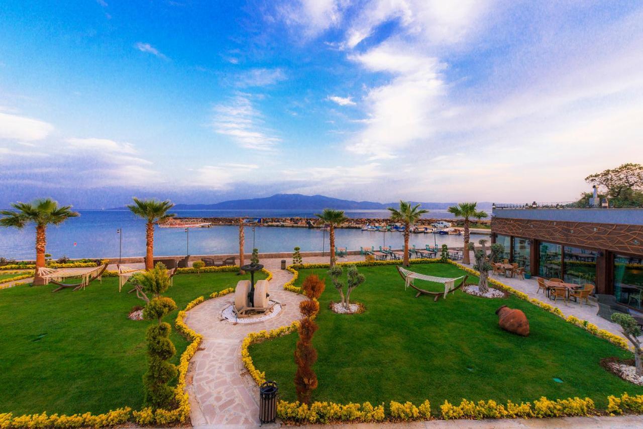 Assos Zeyti̇n Special Class Adults Only 12 *