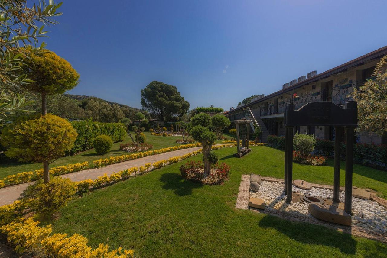 Assos Zeyti̇n Special Class Adults Only 12 Bed & Breakfast