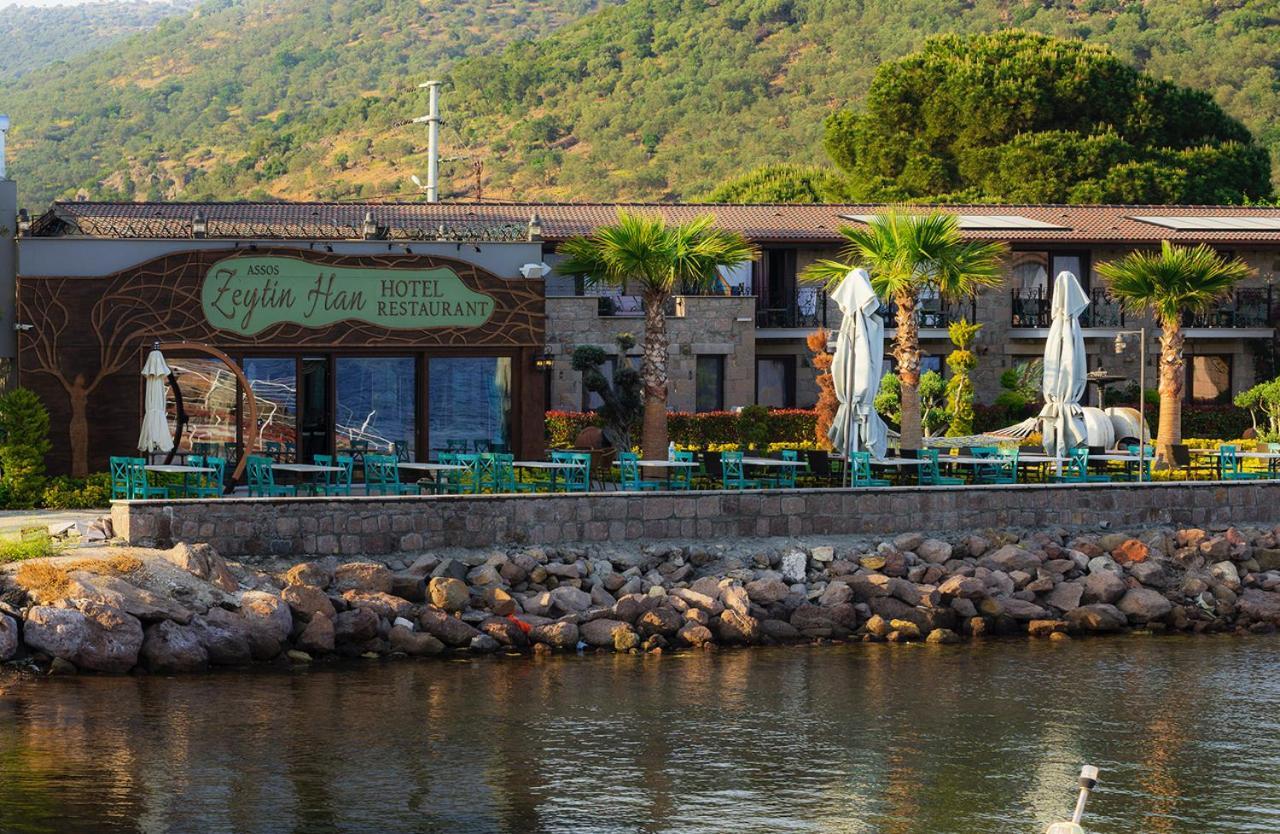Assos Zeyti̇n Special Class Adults Only 12 Bed & Breakfast