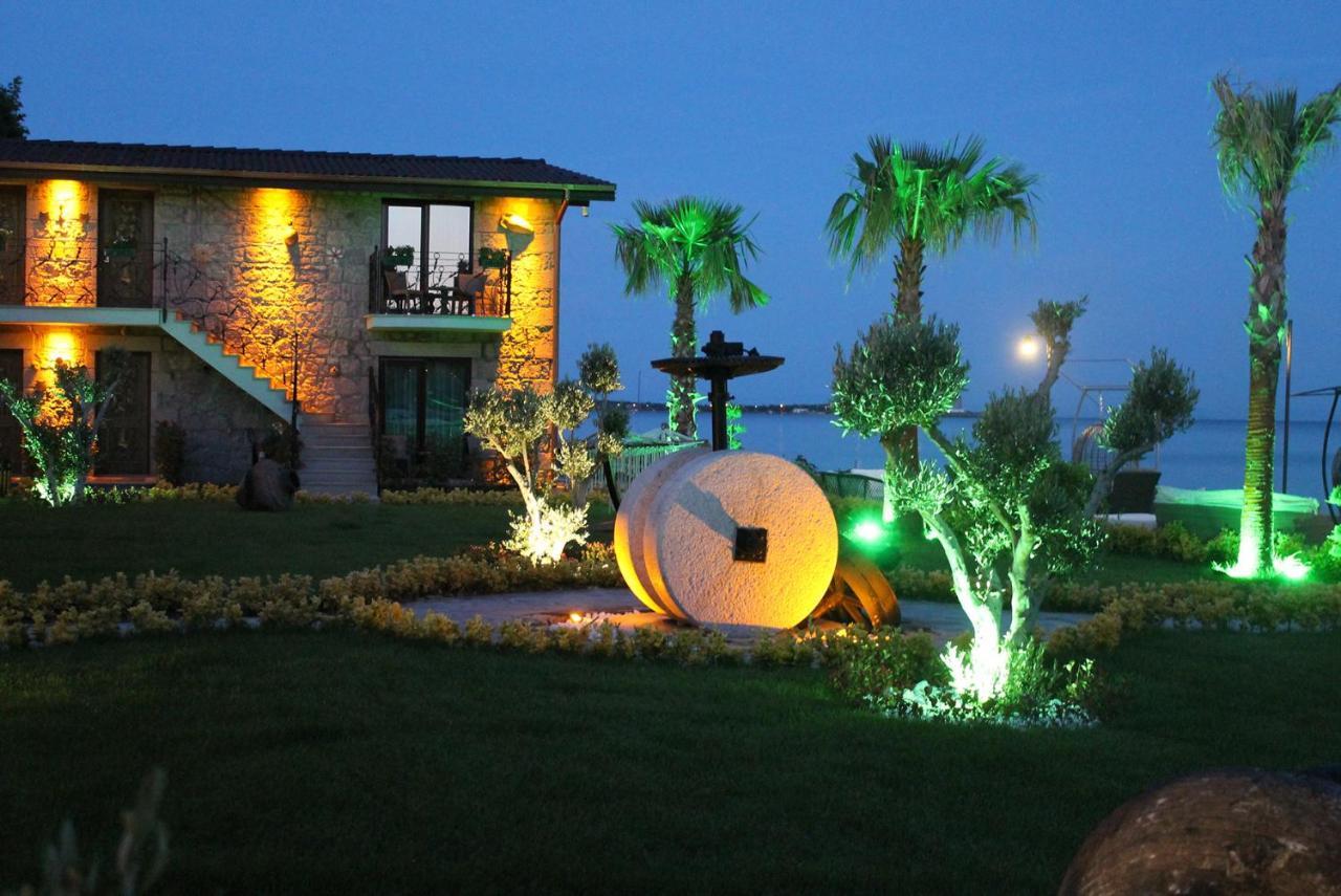 Assos Zeyti̇n Special Class Adults Only 12 Bed & Breakfast
