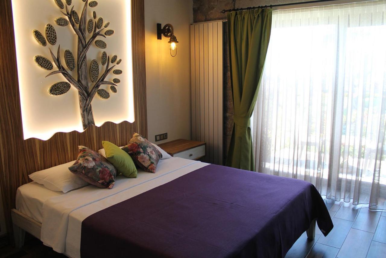 Assos Zeyti̇n Special Class Adults Only 12 Bed & Breakfast