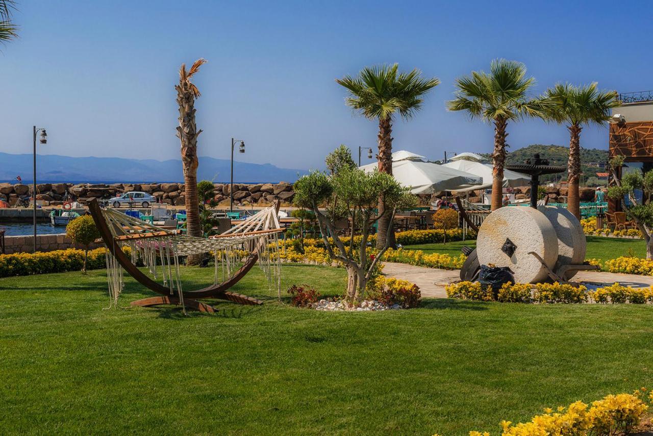 Assos Zeyti̇n Special Class Adults Only 12 Bed & Breakfast *