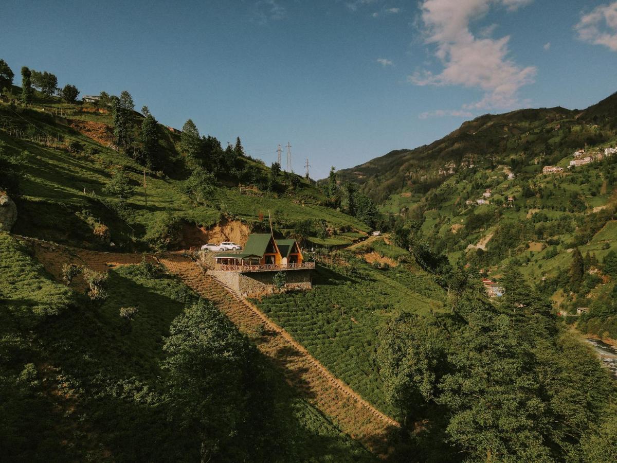 Purkinora Bungalov * Camlihemsin