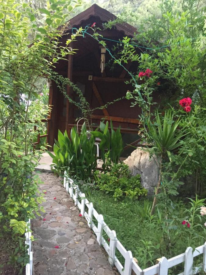 Lodge Canario *