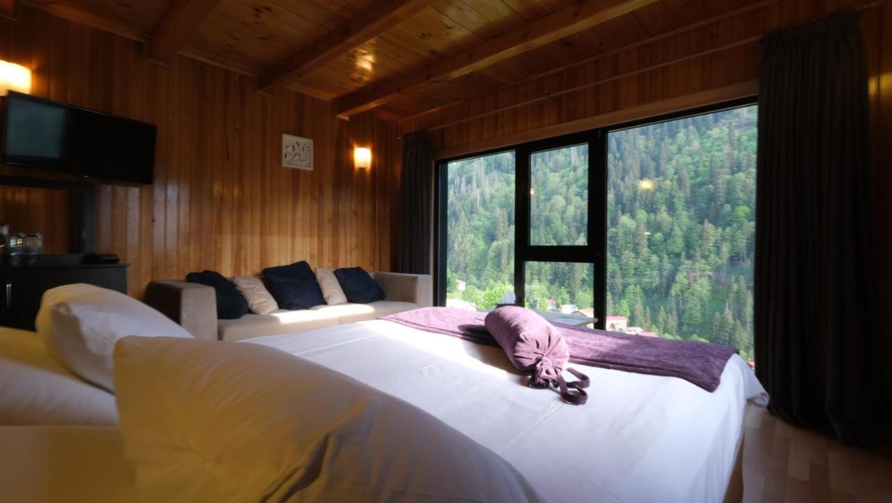 Hotel De Pelit 3*